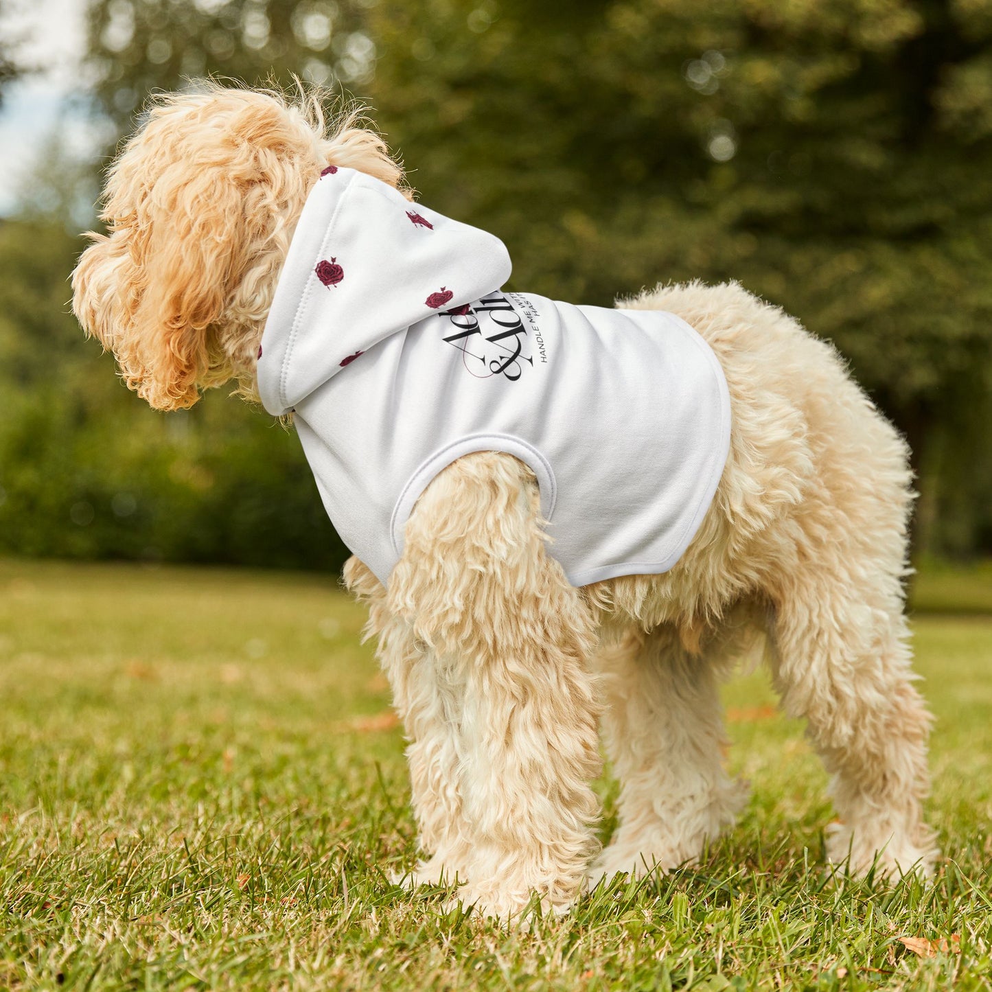 A&A Pet Hoodie